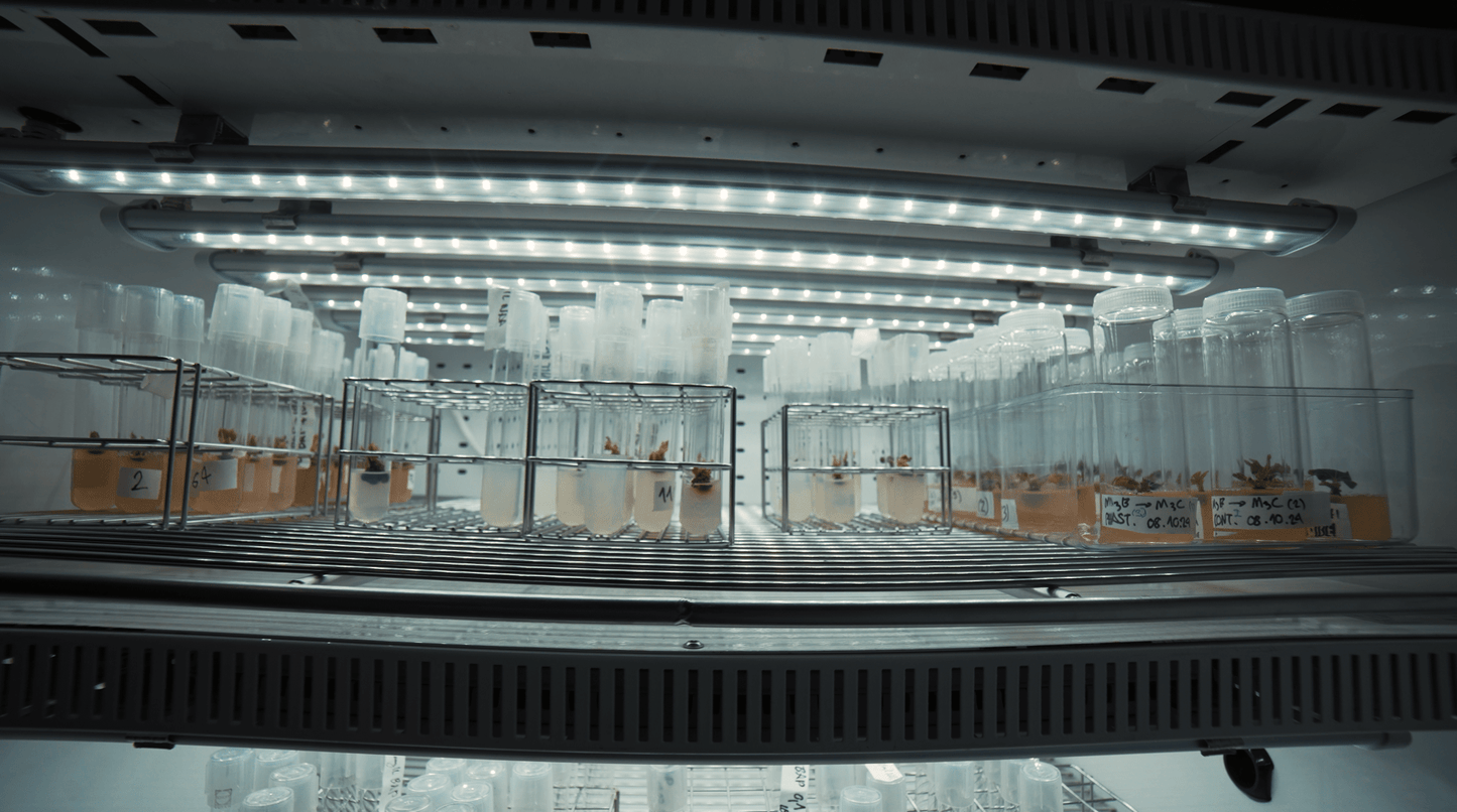 X - CLONE Sun Pro 60 - Default | Future Of Grow