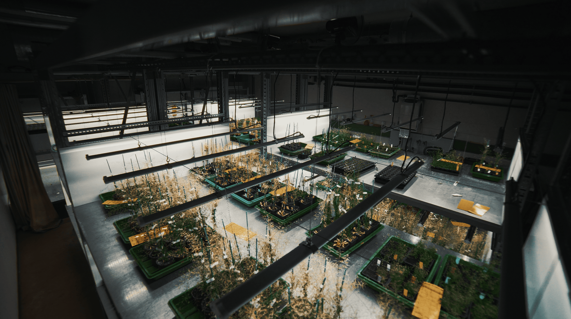 X - CLONE Sun Pro 30 - Default | Future Of Grow