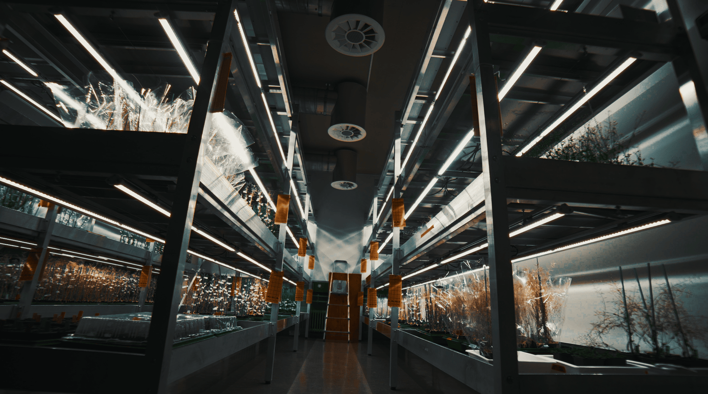 X - CLONE Sun Pro 60 - Default | Future Of Grow